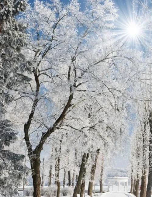 抖音里就算大雪飞那是什么歌
