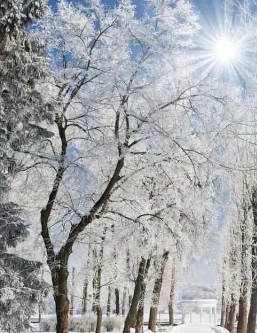 抖音里就算大雪飞那是什么歌