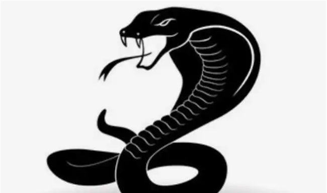 什么蛇是苦命蛇图3