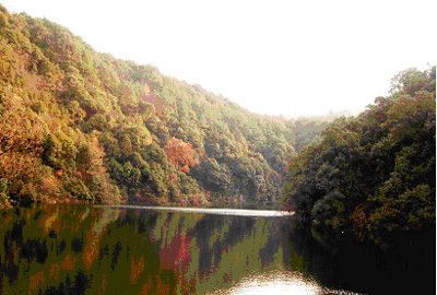 池州土特产品,池州特产图2