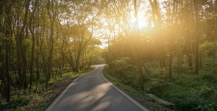 梦见迷路了后有人又给你指路了图1