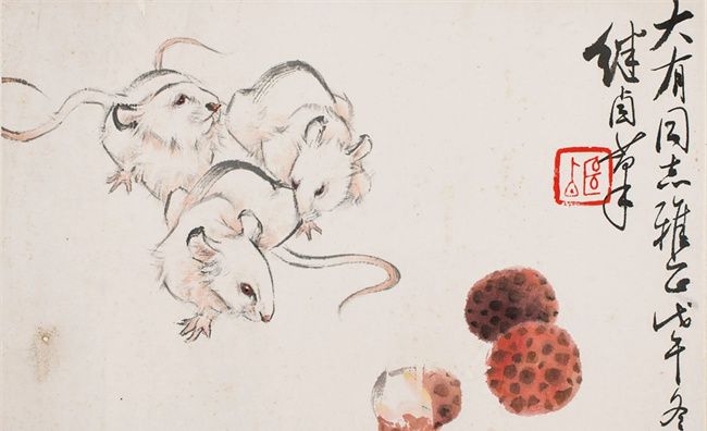 冬天花枝鼠和幼崽可以晒太阳，冬天出生的属鼠人命运详解大才大智图3