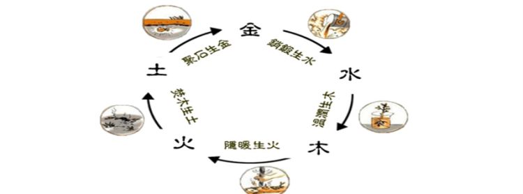 怎么利用自然科学逆转命运，365 逆转命运的一年 如何穿越的图1