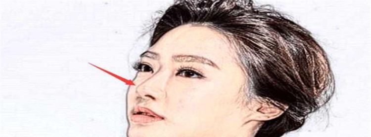 眼睛类型有哪些及说明，心机很深的女人面相鼻梁有节图1