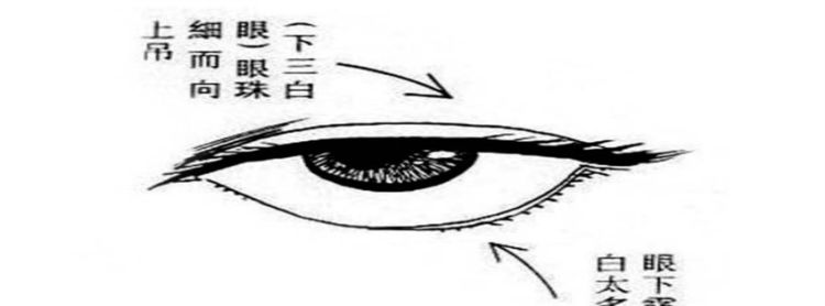 眼睛类型有哪些及说明，心机很深的女人面相鼻梁有节图3