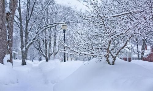 梦见地上很厚的积雪是什么意思呀