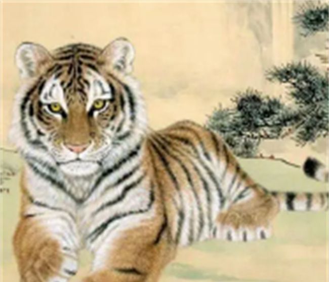生肖虎几月生的好，74年属虎的是几月几日出生图2