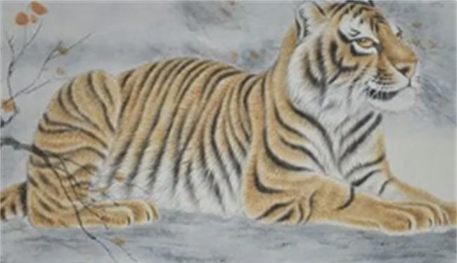 生肖虎几月生的好，74年属虎的是几月几日出生图4