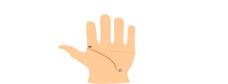 女人手纹怎么看，生命线看左手还是看右手左右手都看图3
