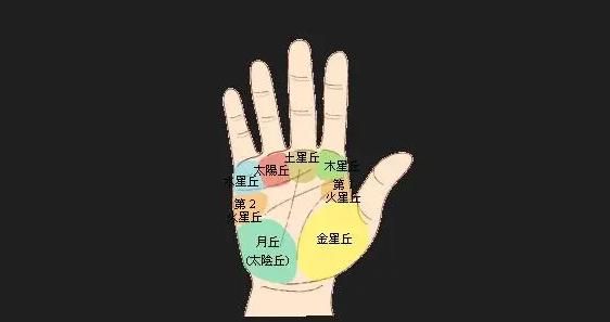 女人手纹怎么看，生命线看左手还是看右手左右手都看图5