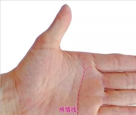 女人手纹怎么看，生命线看左手还是看右手左右手都看图8