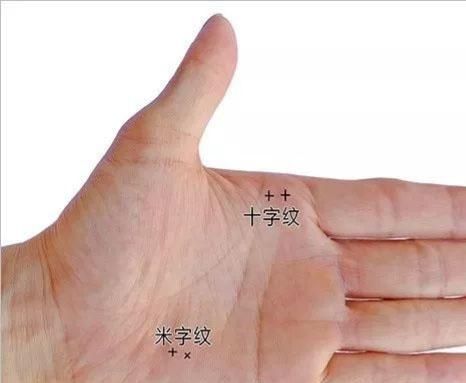 女人手纹怎么看，生命线看左手还是看右手左右手都看图13