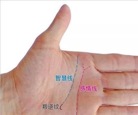 女人手纹怎么看，生命线看左手还是看右手左右手都看图17