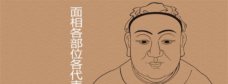 鼻子面相图解：鼻子面相看人生运程图1