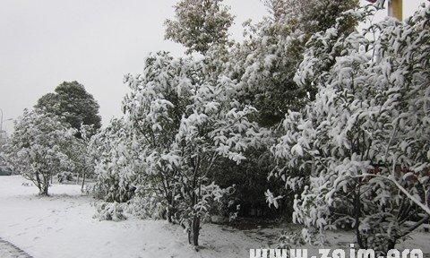 梦见雪白的雪什么征兆