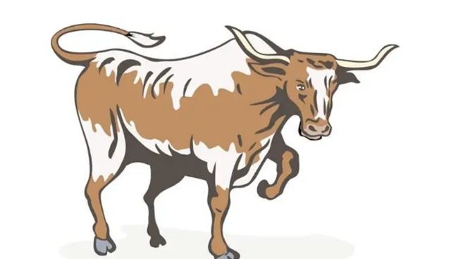 农历八月牛是什么命图3