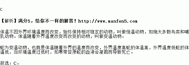 什么是冷血动物