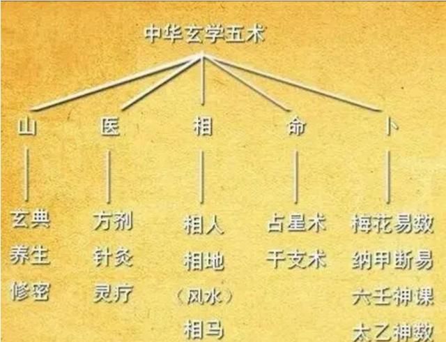 如何通过眼相判断祸福，人面桃花相映红中的相读音图3