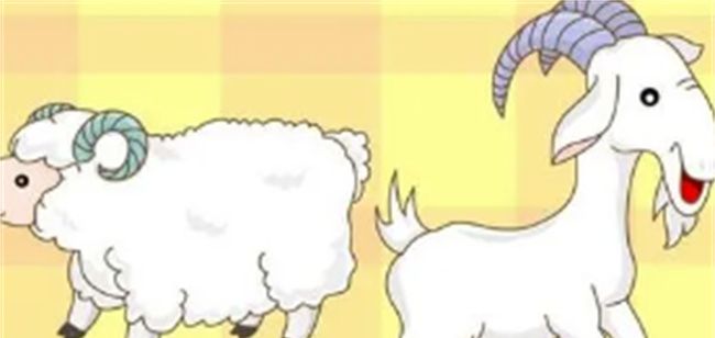 生肖羊和什么属相最配图1