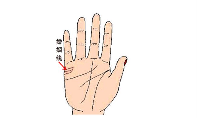 女人手掌纹路图解右手婚姻线 婚姻线清楚一生挚爱一人手相分析婚姻图3