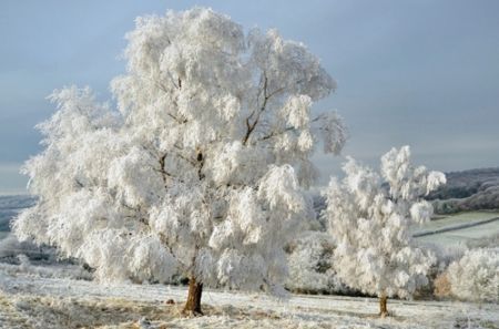 已婚女人梦见下雪花是什么意思