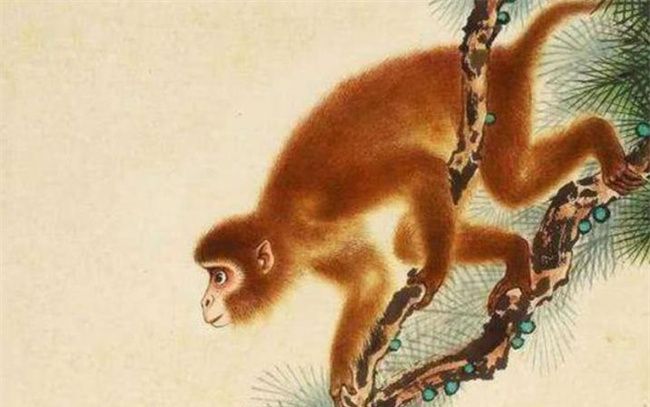 生肖为“猴”的人本命佛是什么图2