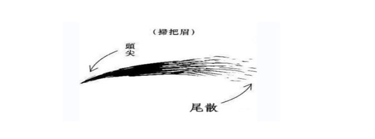 有扫字的四字成语，眉毛看相：扫把眉是好还是坏坏图1