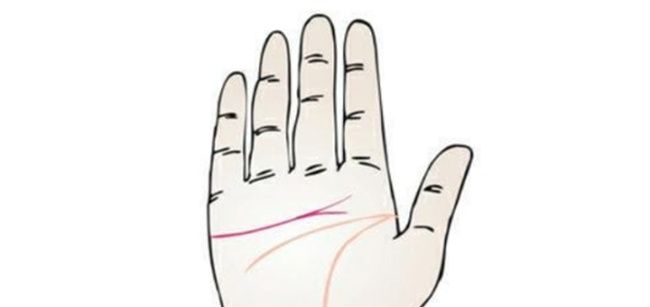 女人手掌纹路图解右手感情线 尾端分岔的感情线勇于尝试图1