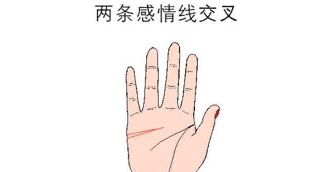 女人手掌纹路图解右手感情线 尾端分岔的感情线勇于尝试图3