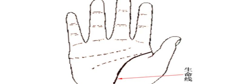 生命线很长代表什么，手掌中间的是什么线图1