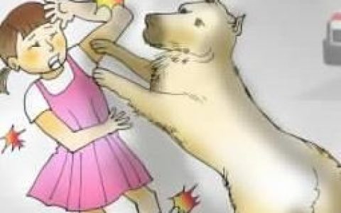 梦见自己被狗咬了一口,梦见被大狗咬什么意思