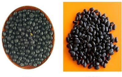 黑豆与黑黄豆有什么区别