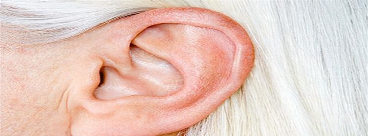脸大耳朵小的男人性格特点，解析耳朵与人的性格和运势不同的耳朵图2