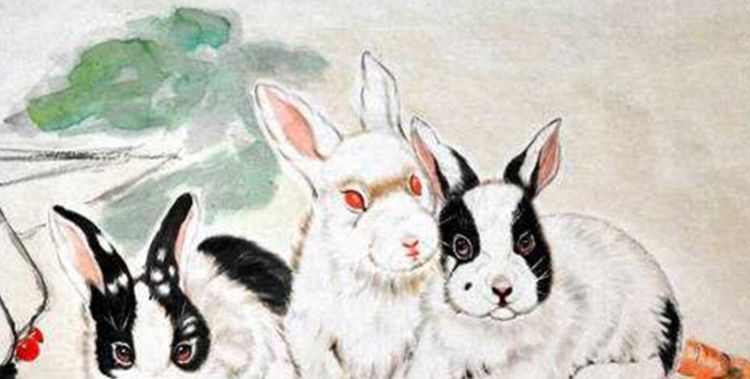 十二生肖卯兔的故事是什么图3