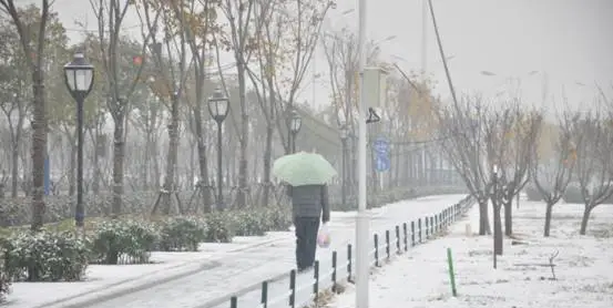 寒潮预防措施地理,年末寒潮来袭利好行业图4