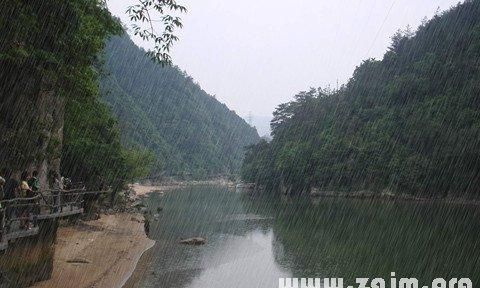 梦见下雨打两把伞是什么意思