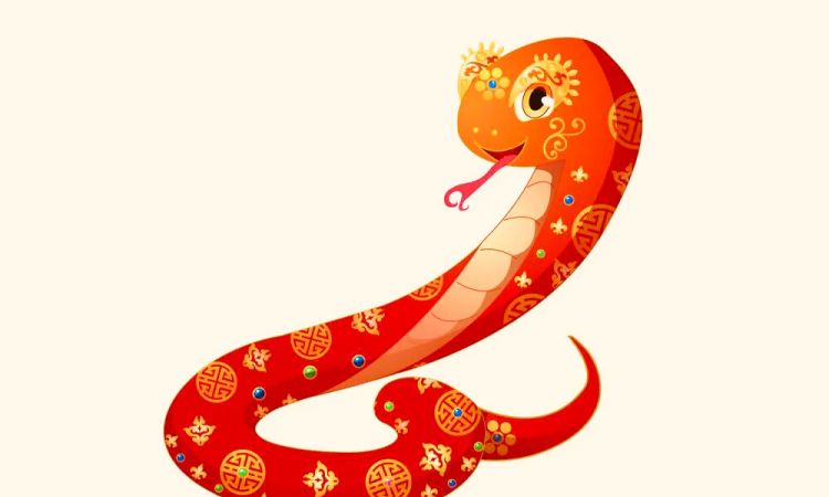 红肚皮蛇是什么意思，孕妇梦见红色的蛇是什么意思图3