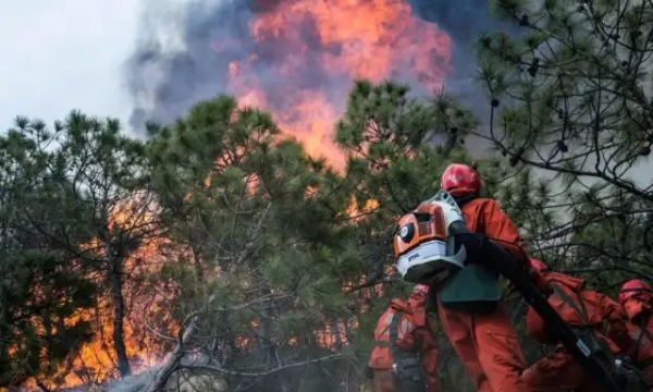 森林火灾自救方法,遭遇森林大火时正确的逃生方向图4