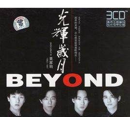 年月把拥有变做失去是什么歌,beyond光辉岁月讲的是什么故事图1