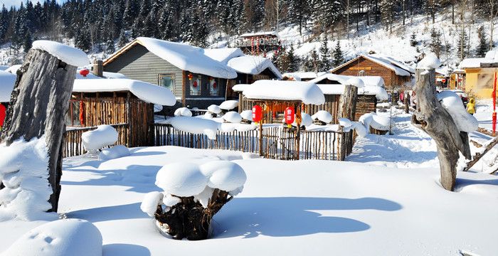 梦见村里面全是雪是怎么回事图2