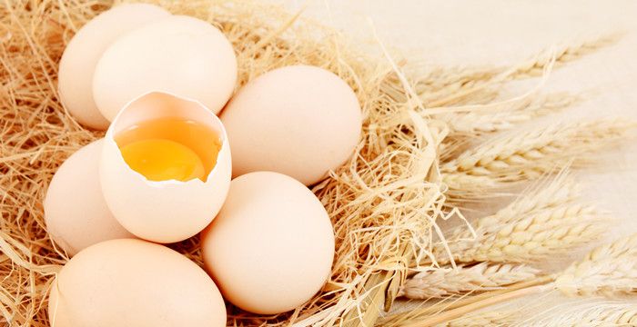 梦见吃鸡蛋黄是什么预兆，怀孕梦见老公吃鸡蛋黄是什么意思图2