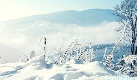 梦见雪是什么意思