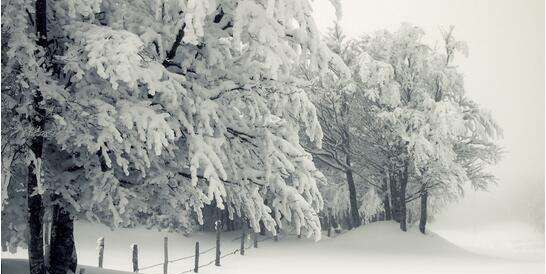 梦见雪是什么兆头