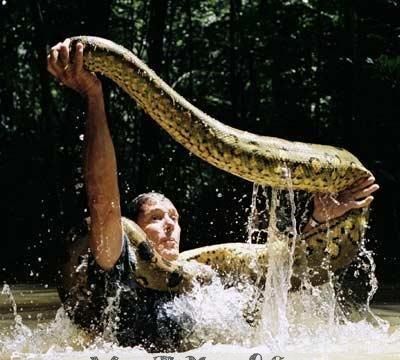 梦见水里有蛇有什么寓意吗
