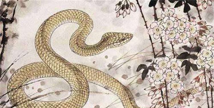 属蛇的女人梦见蛇缠身，属蛇的女人梦见蛇暗示什么图3