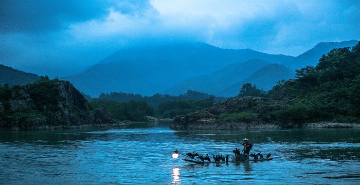 梦见被水冲走预示着什么，梦见大树被水冲走是什么征兆图2