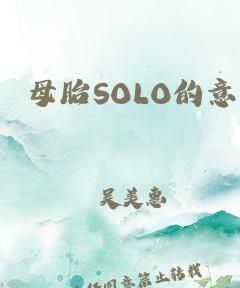 母胎solo的意思