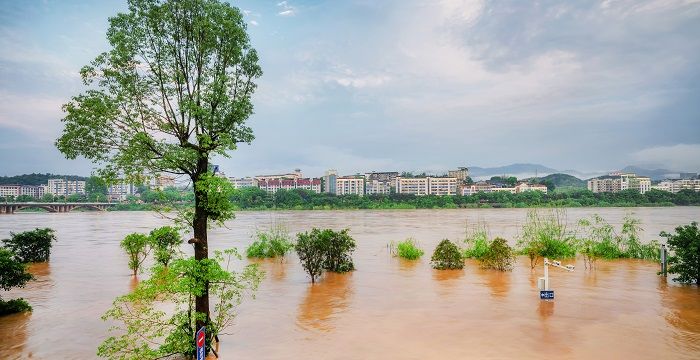 梦见涨大水预示着什么，做梦梦到家门口发大水是什么意思图1