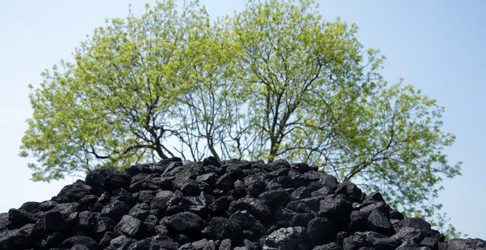 梦见煤堆预示着什么，梦见一堆一堆的煤炭图1