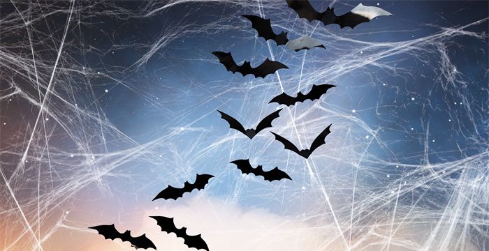 梦到蝙蝠意味着什么，做梦梦到蝙蝠是什么意思心理学解释图1